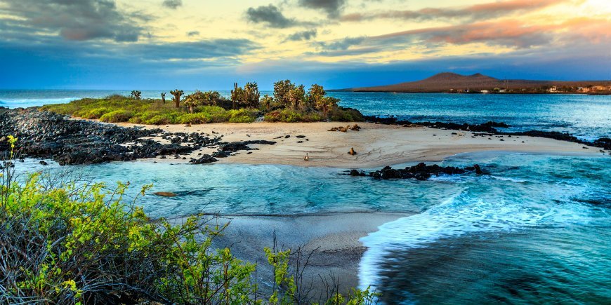 Kreuzfahrt oder Inselhopping zu den Galapagos-Inseln
