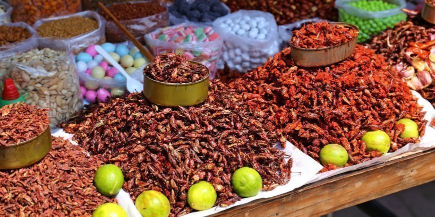 Mexiko Oaxaca Markt