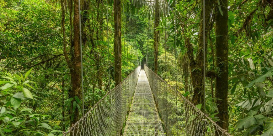 Brücke in Monteverde